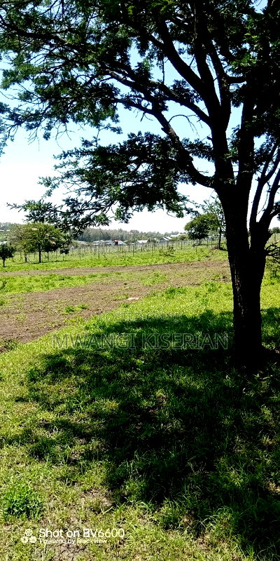 50by100 for Sale in Kiserian GP - Image 15