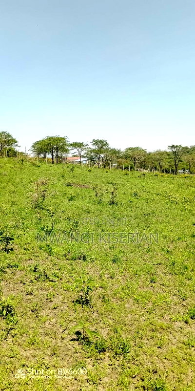 50by100 for Sale in Kiserian GP - Image 7