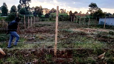 Kikuyu Kerwa Prime Plot - Only 400m From Kanduma Centre - Image 5