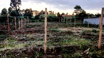 Kikuyu Kerwa Prime Plot - Only 400m From Kanduma Centre - Image 3