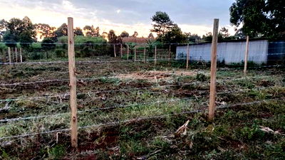 Kikuyu Kerwa Prime Plot - Only 400m From Kanduma Centre - Image 4