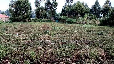 Kikuyu Kerwa Prime Plot - Only 400m From Kanduma Centre - Image 2