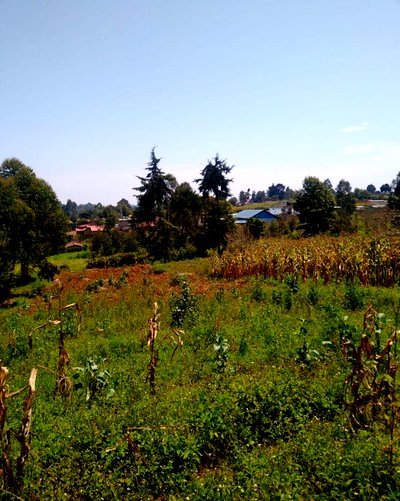 Limuru Plot Under 2M
