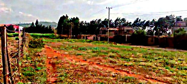 50*100 Plots for Sale in Ngong Kibiko