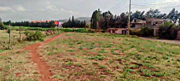 50*100 Plots for Sale in Ngong Kibiko