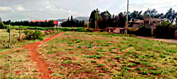 50*100 Plots for Sale in Ngong Kibiko