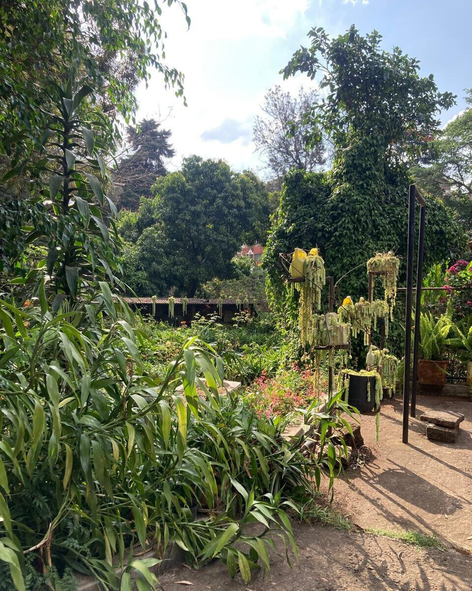1.5-Acre Kilimani Plot for Sale