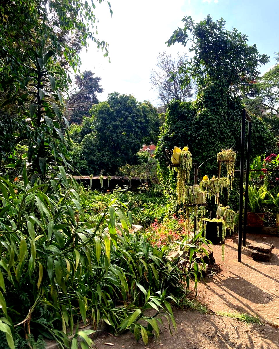 1.5-Acre Kilimani Plot for Sale
