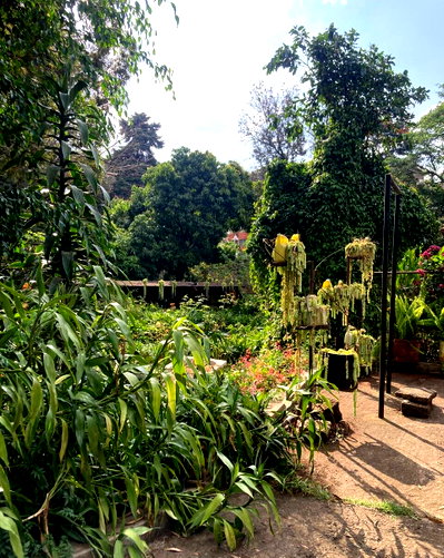 1.5-Acre Kilimani Plot for Sale