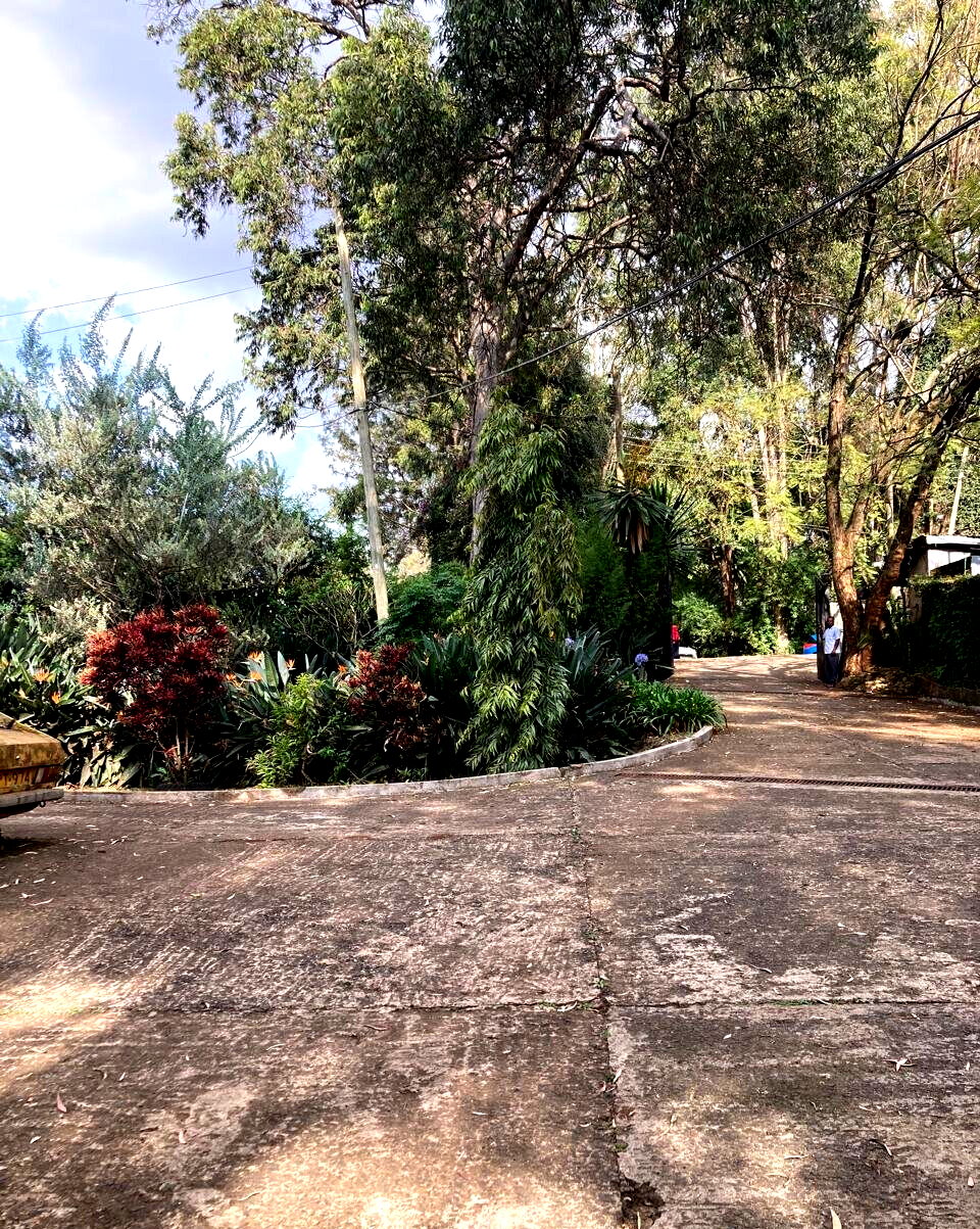 1.5-Acre Kilimani Plot for Sale