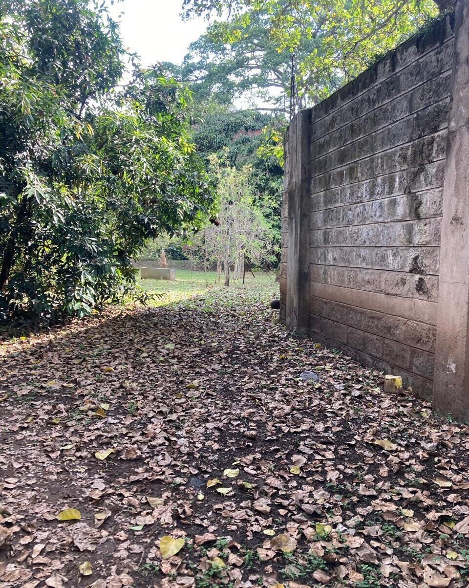 1.5-Acre Kilimani Plot for Sale