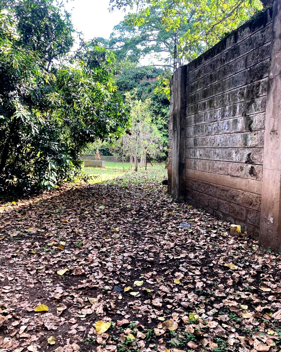 1.5-Acre Kilimani Plot for Sale
