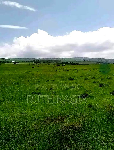 A Sale of 3 Acres of Land. - Image 1