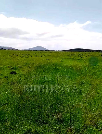 A Sale of 3 Acres of Land. - Image 2