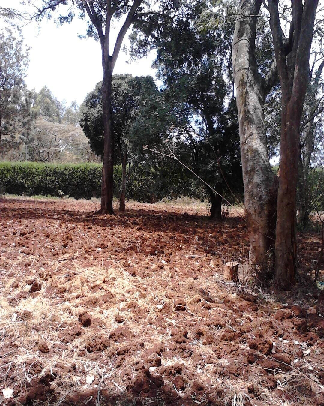 1.5 Acre Garden Plot in Westlands