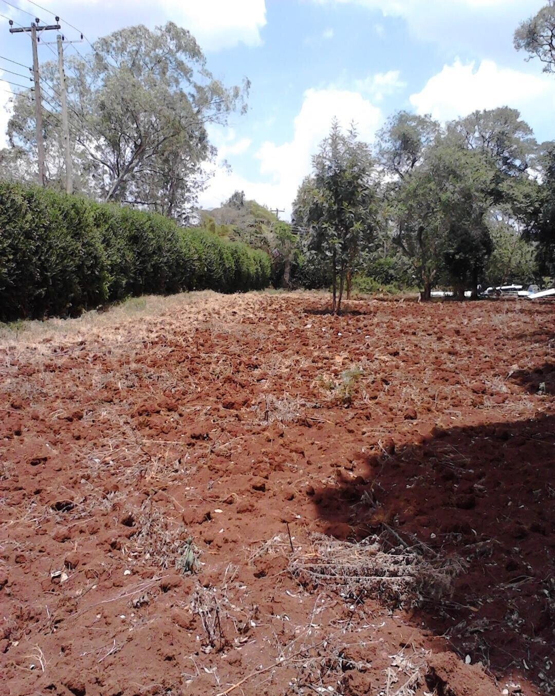 1.5 Acre Garden Plot in Westlands