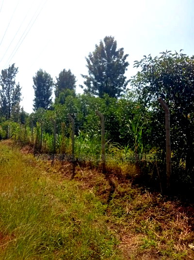 Land for Sale at Kamahuha - Image 3