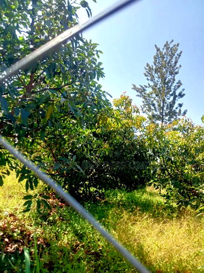 Land for Sale at Kamahuha - Image 2