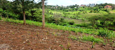 1/8 Acre Garden Plot at KSh 2.7M
