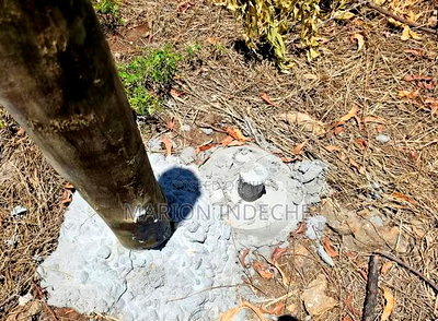 Malindi Kizingo Prime 50*100ft Plots for Sale - Image 7