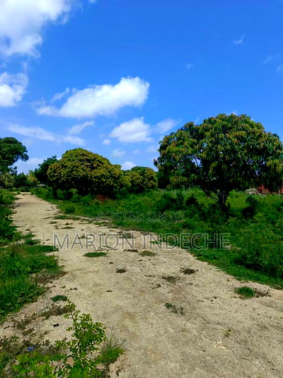 Malindi Kizingo Prime 50*100ft Plots for Sale - Image 20