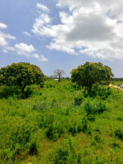 Malindi Kizingo Prime 50*100ft Plots for Sale - Image 10