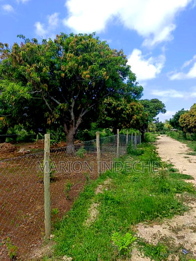 Malindi Kizingo Prime 50*100ft Plots for Sale - Image 17