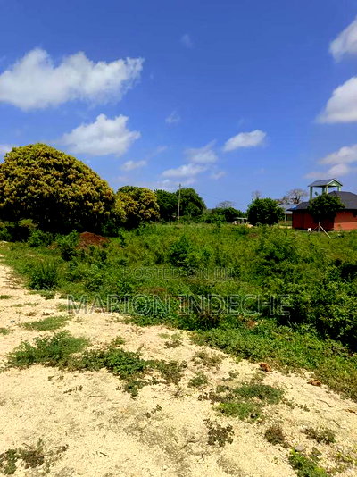 Malindi Kizingo Prime 50*100ft Plots for Sale - Image 16
