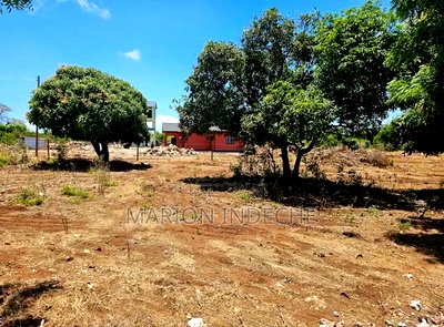 Malindi Kizingo Prime 50*100ft Plots for Sale - Image 1