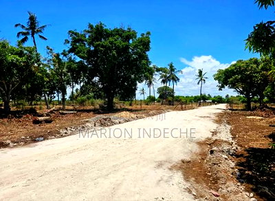 Malindi Kizingo Prime 50*100ft Plots for Sale - Image 5