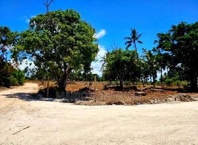Malindi Kizingo Prime 50*100ft Plots for Sale - Image 4