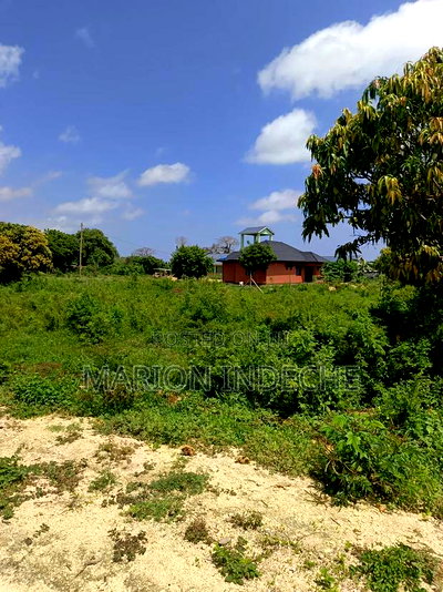 Malindi Kizingo Prime 50*100ft Plots for Sale - Image 18