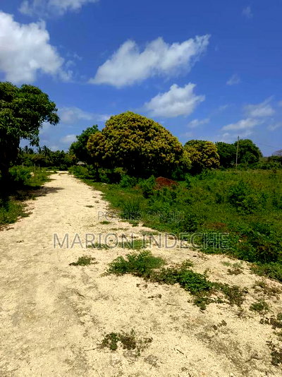 Malindi Kizingo Prime 50*100ft Plots for Sale - Image 19