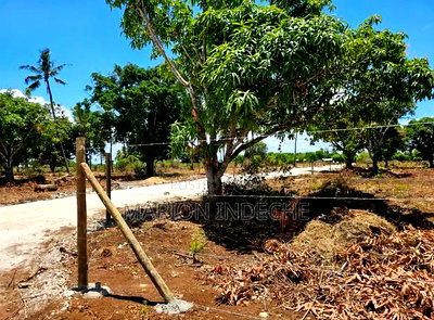 Malindi Kizingo Prime 50*100ft Plots for Sale - Image 6