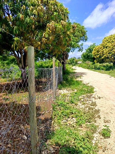 Malindi Kizingo Prime 50*100ft Plots for Sale - Image 14