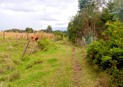 3.7-Acre Garden Plot with Parking - Nyandarua