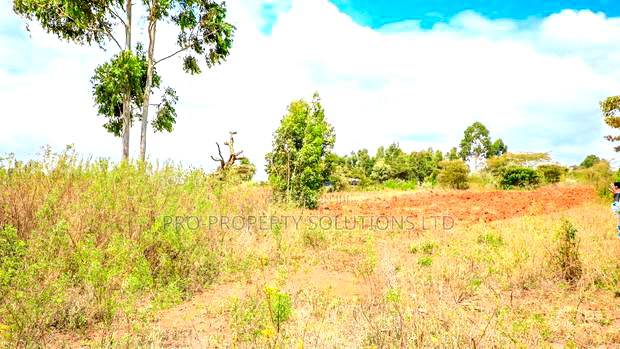 Prime Residential Plot for Sale in Kikuyu, Lusigetti