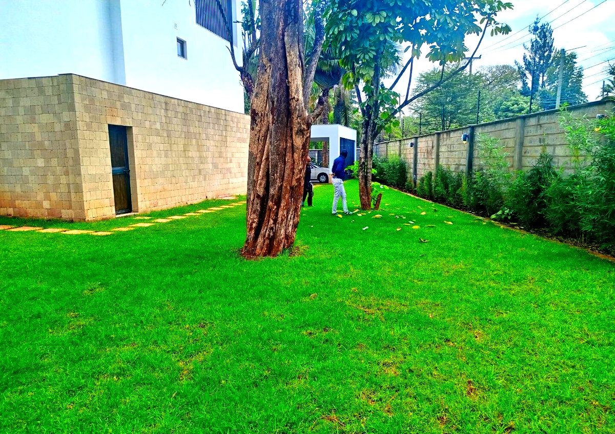 5-Bed All-Ensuite Villa with Inverters & Private Garden - Spring Valley