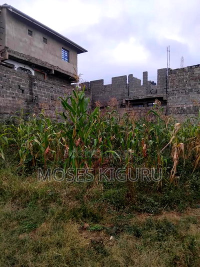 Kenyatta Rd, Murram Estate 50x25 Plots. - Image 4