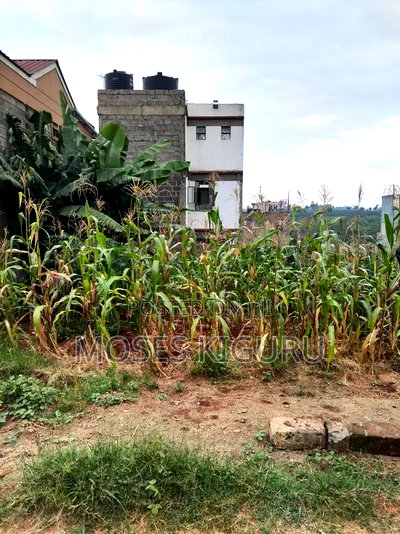 Kenyatta Rd, Murram Estate 50x25 Plots. - Image 1