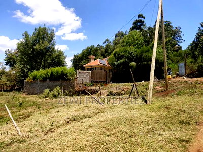 1/8 Kibiku Ngong - Image 5
