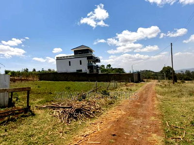 1/8 Kibiku Ngong - Image 1