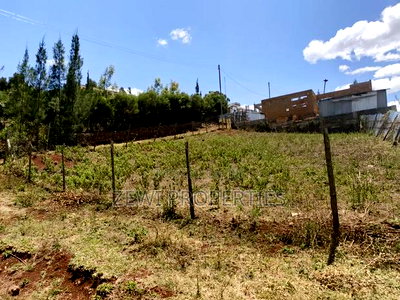 1/8 Kibiku Ngong - Image 3