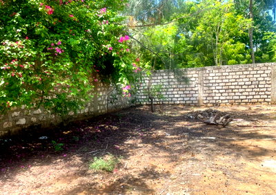3/4 Acre Watamu Plot for KSh 24M