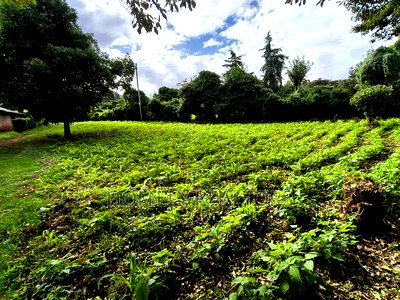 Quarter Acreplot in Kerarapon Drive, Ngong. Fertile Red Soil - Image 1