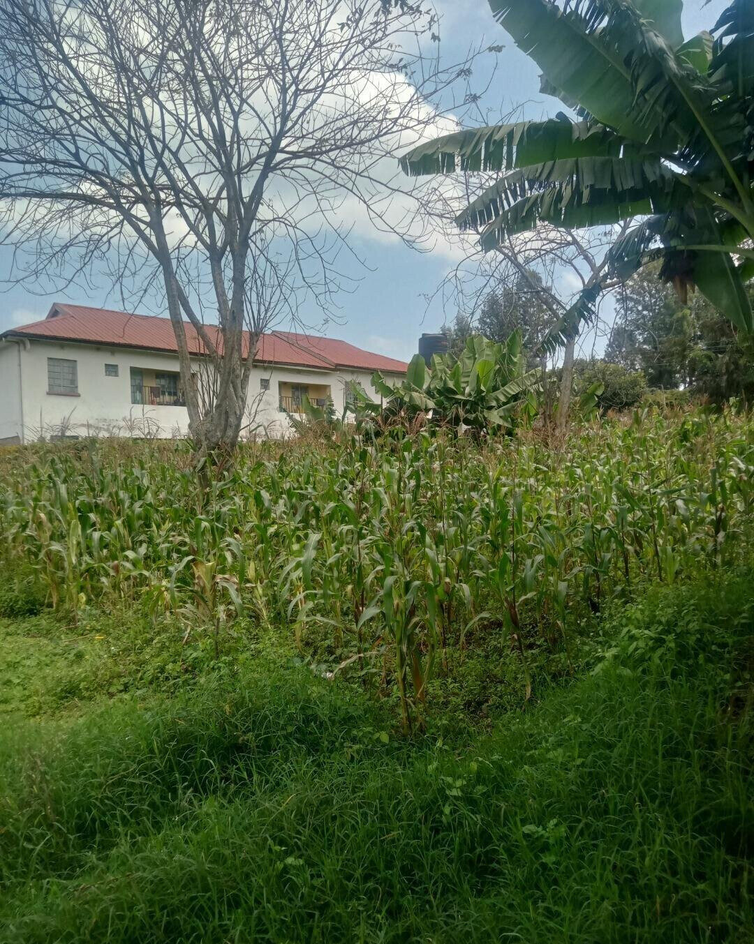 KSh 10M Wangigi Plot