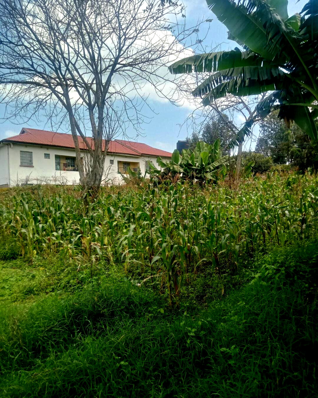 KSh 10M Wangigi Plot