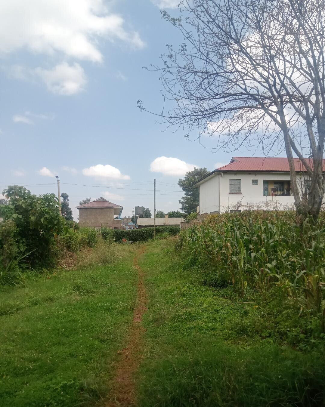 KSh 10M Wangigi Plot