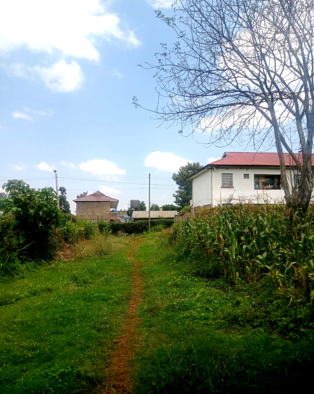 KSh 10M Wangigi Plot