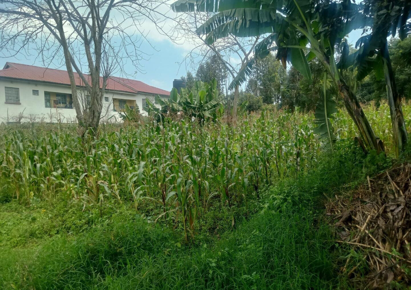 KSh 10M Wangigi Plot